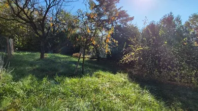 3040 Neulengbach