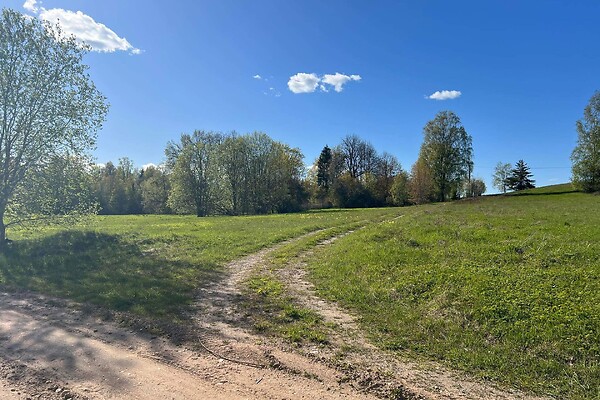 plot for sale, land-profit land - Ala-Rahi, Arula, Otepää vald, Valgamaa
