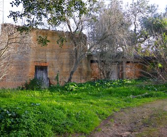 Silves,  PT