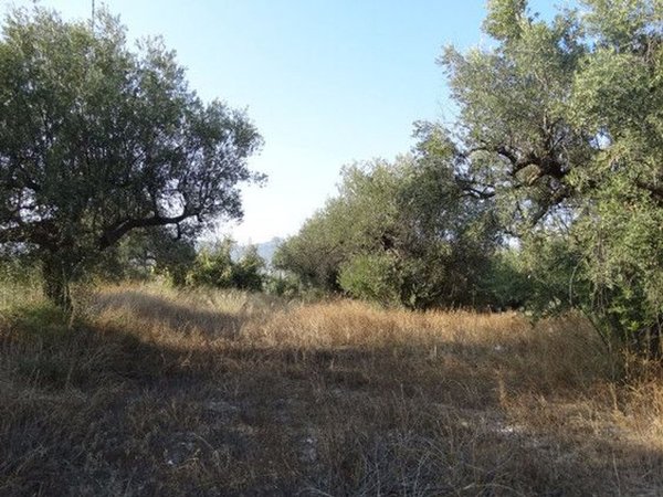 Moratalla,  ES