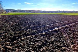 Wilków