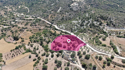 Koili, Paphos
