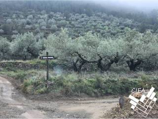 Altura,  ES
