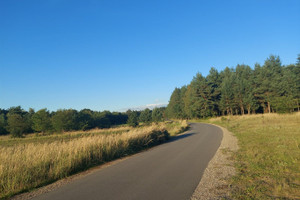 Łaziska
