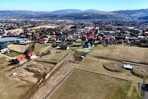 Brzeziny