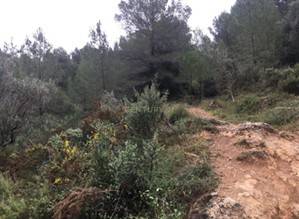 Oliva,  ES