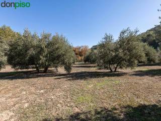 Albolote,  ES