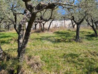 Assisi,  IT