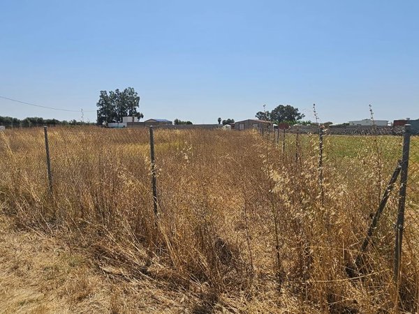 Utrera,  ES