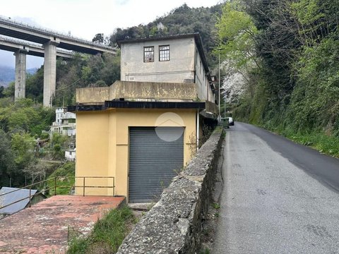 Genoa,  IT