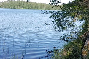 Jukajärventie 95, Ruokolahti, Ruokolahti