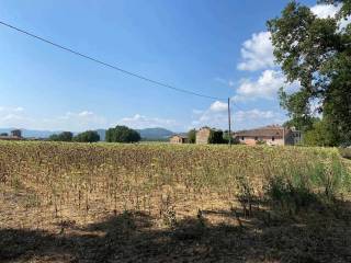 Città di Castello,  IT