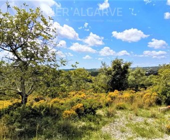 Santa Bárbara de Nexe,  PT