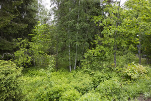 Rantatie 32 A, Onnela, Tuusula