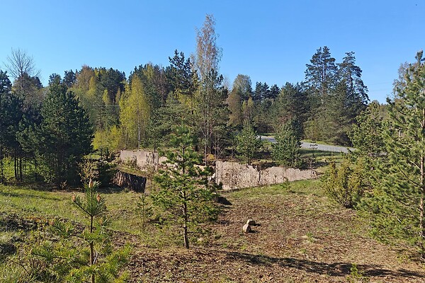 plot for sale, manufacturing land - Kungla, Kavandu, Kambja vald, Tartumaa