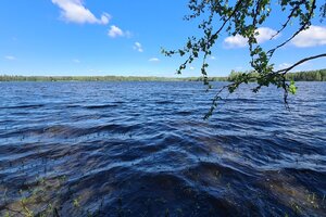 Ollinpolku 8, 17800 Kuhmoinen