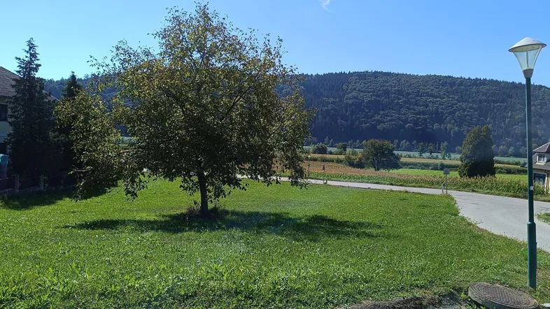 Weinserstraße 1, 3681 Hofamt Priel