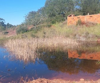 Ferreiras,  PT