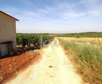 São Bartolomeu de Messines,  PT