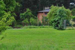 Łask