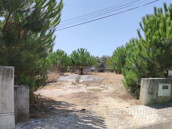 Carapinheira,  PT