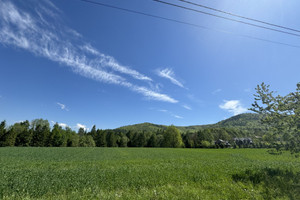 Jaworze