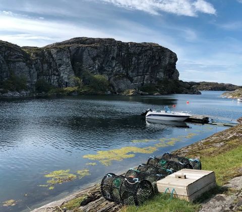 Kongvikvegen, Fjell
