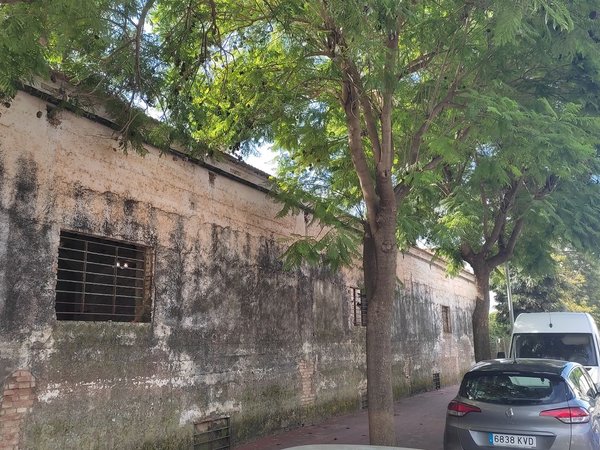Land plot in pozo de la Ermita, 67, Tocina