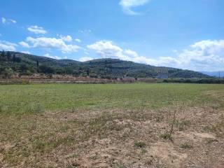 Parcel λουτρο, Krikellos, Amfilochia