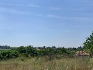 Agricultural land, Beneixama