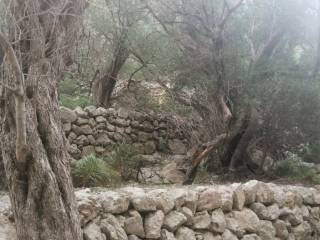 Non-buildable land Soller, Sóller